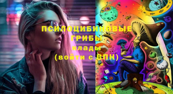 сатива Михайловск