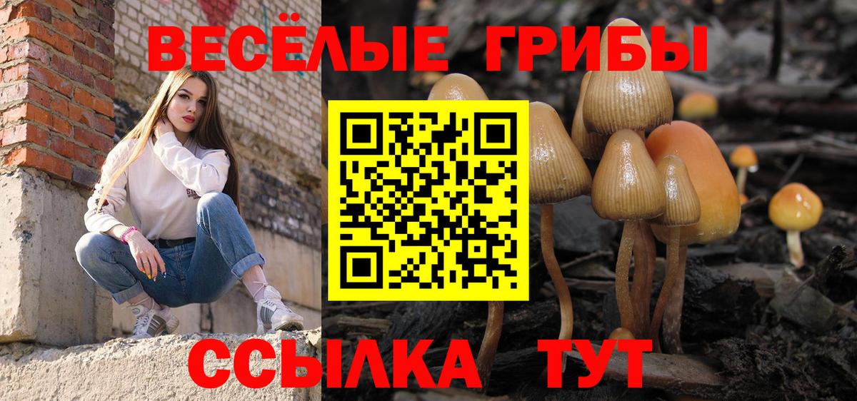 Галлюциногенные грибы прущие грибы  Вход с VPN  Крымск  Галлюциногенные грибы GOLDEN TEACHER 